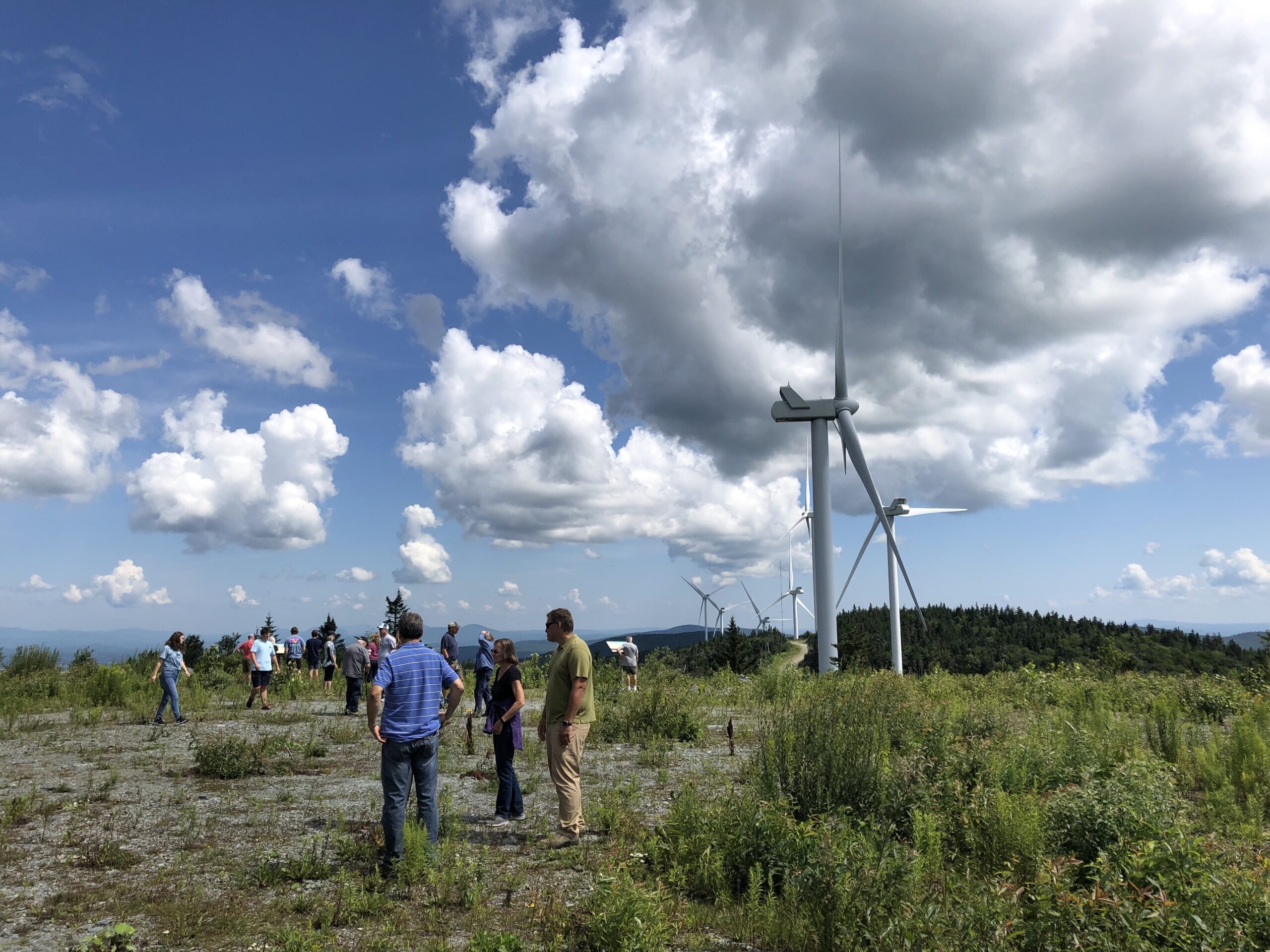 People looking at wind turbines